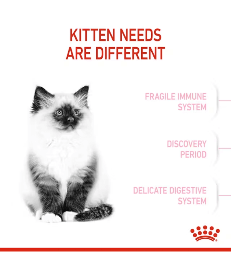 Royal Canin - Kitten 2kg-4kg-10kg