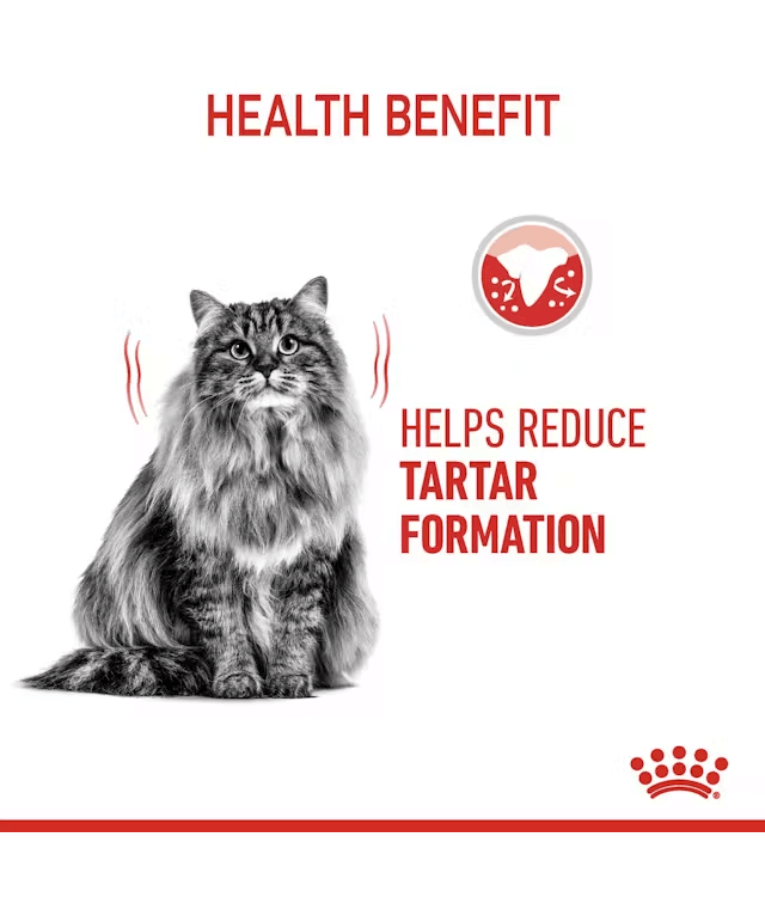 Royal Canin - Dental Care - 1.5kg