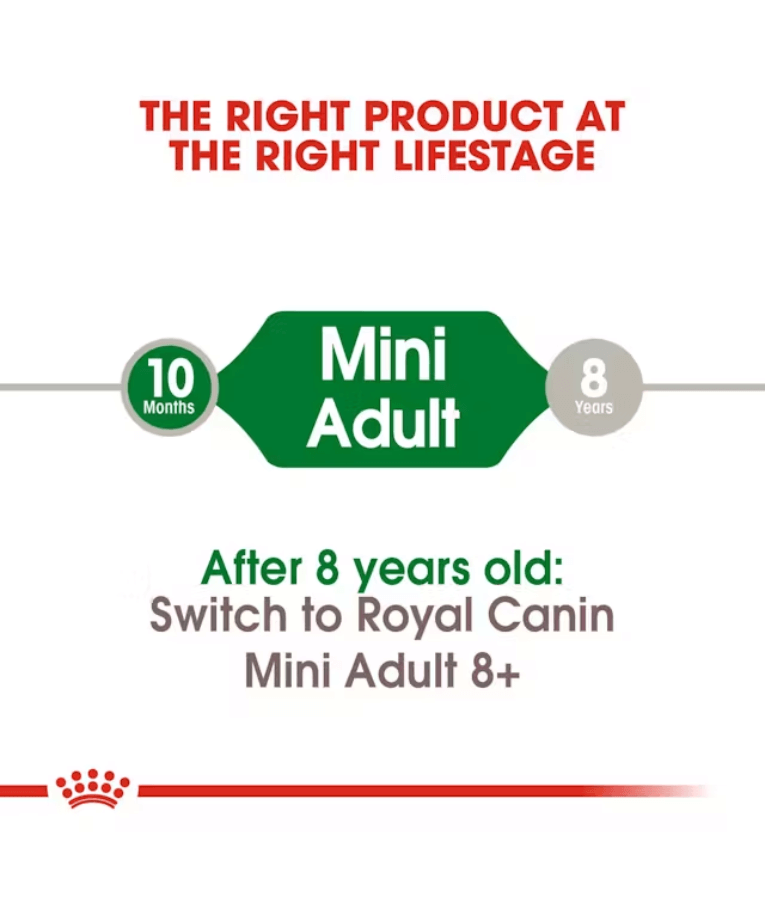 Royal Canin - Mini Adult 2kg-4kg-8kg