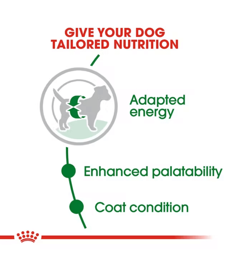 Royal Canin - Mini Adult 2kg-4kg-8kg