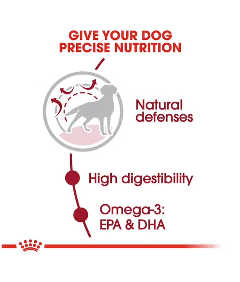 Royal Canin - Medium Adult Dry Dog Food 4kg - 15kg