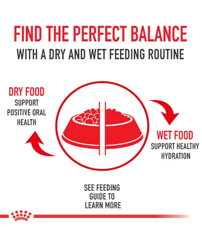 Royal Canin - Medium Adult Dry Dog Food 4kg - 15kg