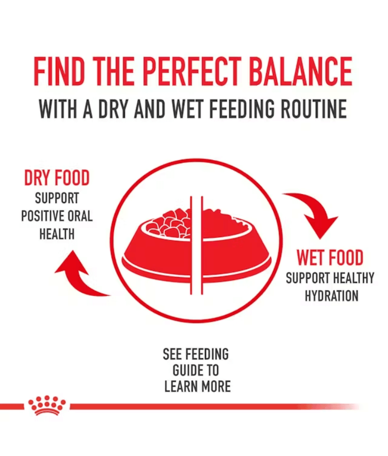 Royal Canin - Persian Adult Cat Food with Hairball Reduction, Skin & Coat Support - 0.4kg-2kg-4kg
