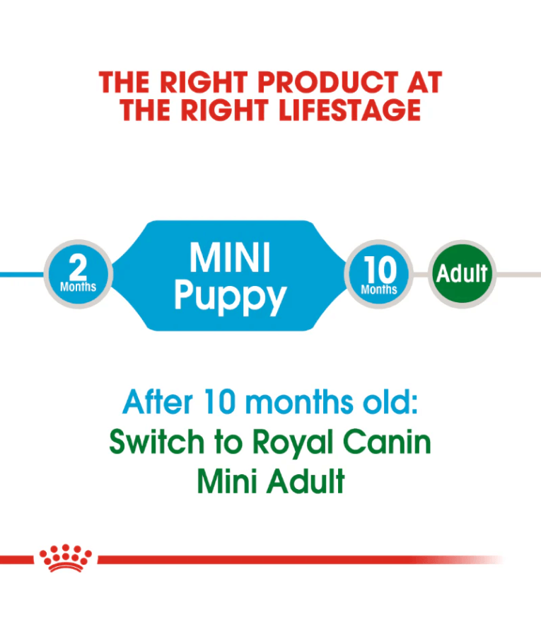 Royal Canin - Mini Puppy 2kg-8kg