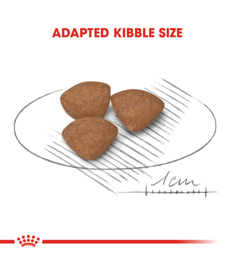 Royal Canin - Mini Puppy 2kg-8kg