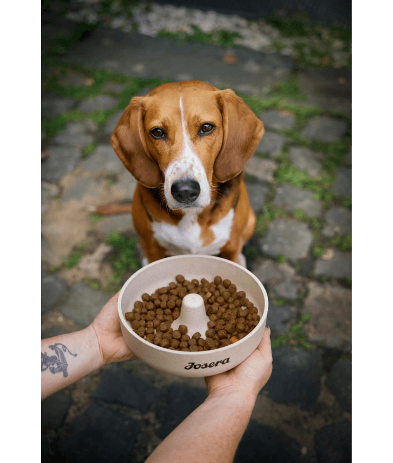 Josera - Lamb & Rice, Gluten-Free Monoprotein with Lamb, Low-Fat Sensitive Stomach Dry Dog Food for Adult All Breed Sizes - 900 g -12.5kg