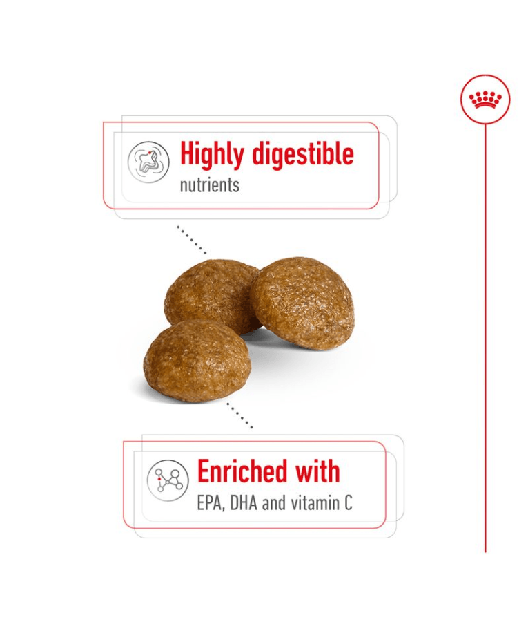 Royal Canin - X-small Adult Dry Dog Food - 1.5kg