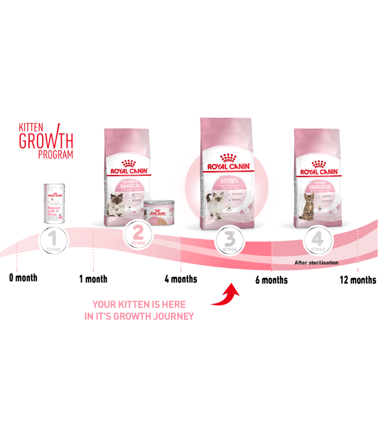 Royal Canin - Kitten 2kg-4kg-10kg