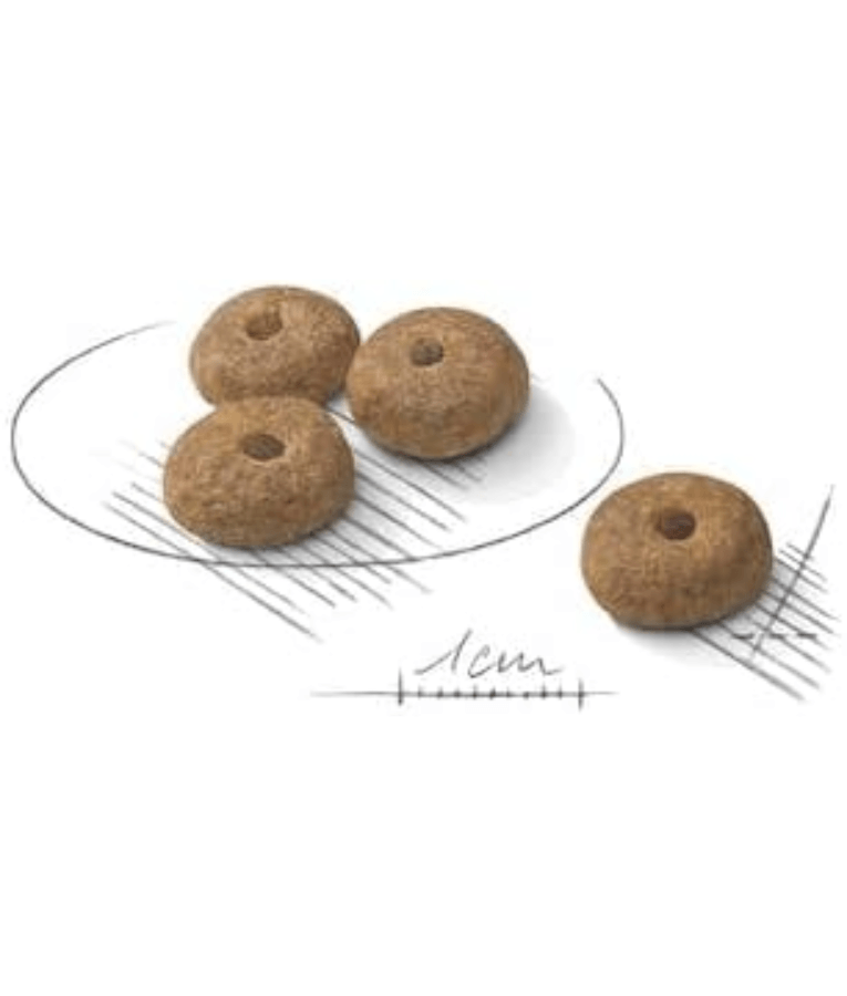 Royal Canin - Sterilised Mini Dog Food – Weight Control for Neutered Mini & Small Breeds – 3 kg