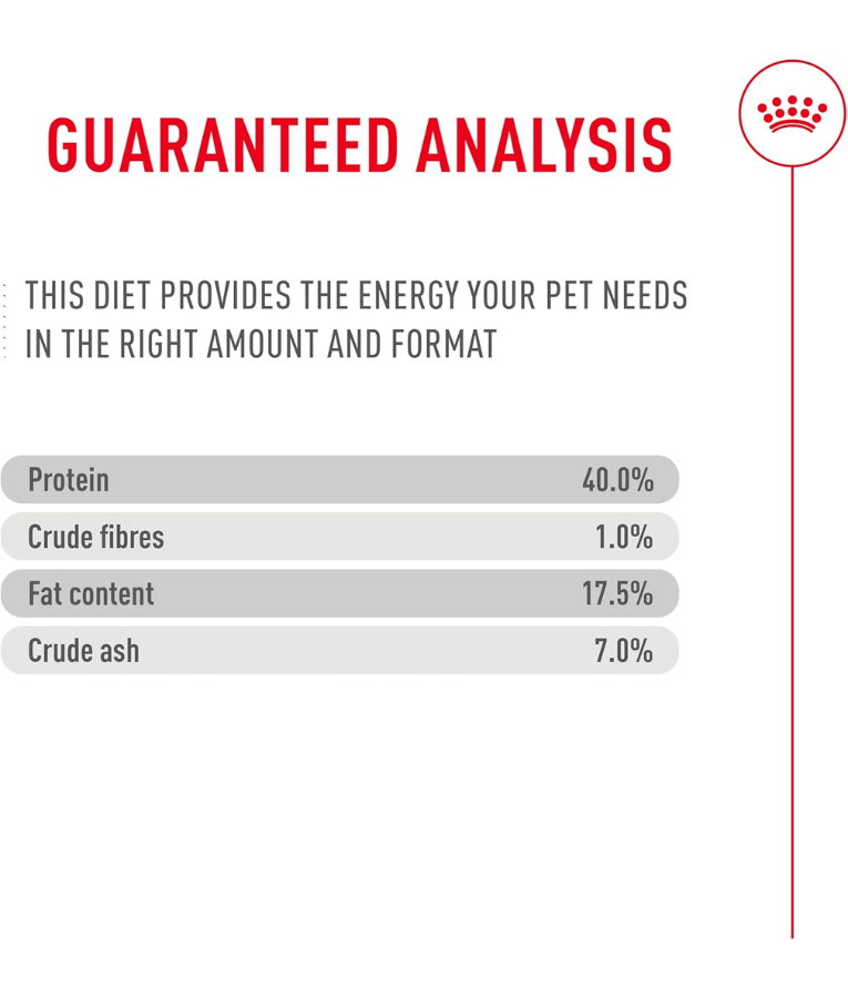 Royal Canin - Fussy Exigent Dry Cat Food- 0.4kg-2kg
