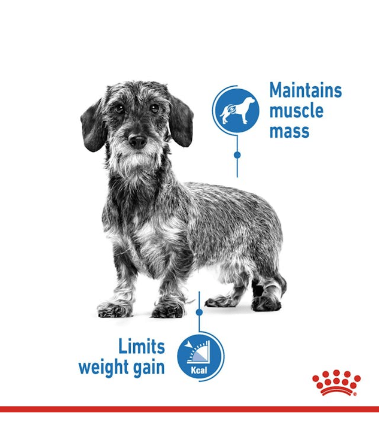 Royal Canin - Mini Light Weight Care 3kg