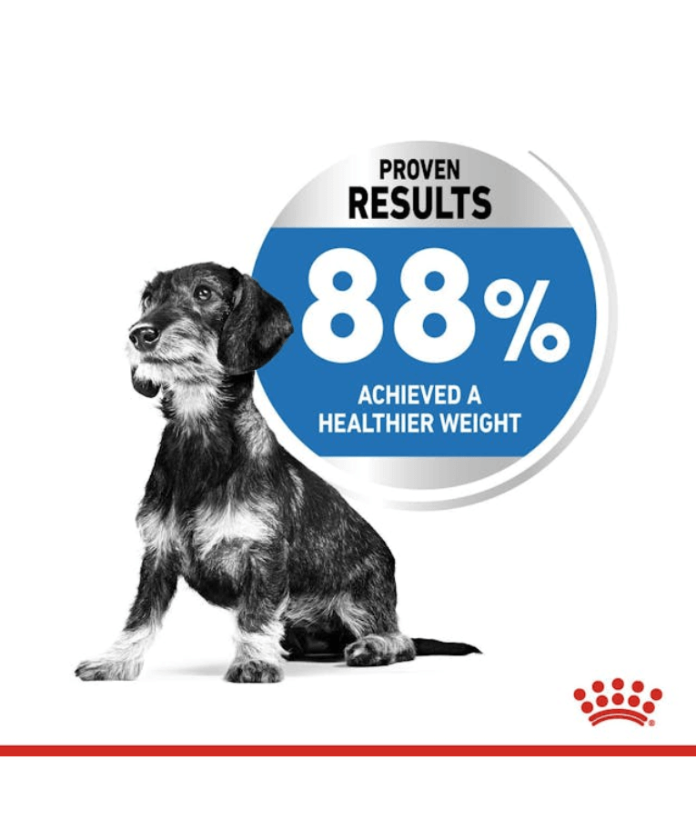 Royal Canin - Mini Light Weight Care 3kg