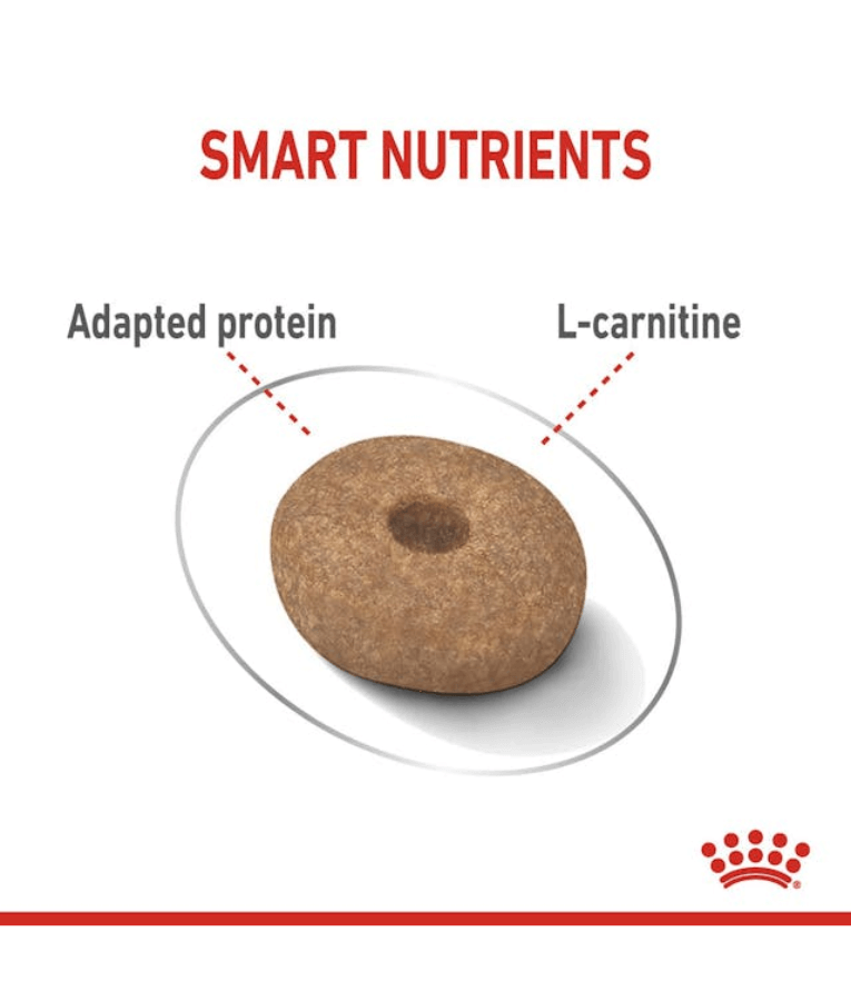 Royal Canin - Mini Light Weight Care 3kg