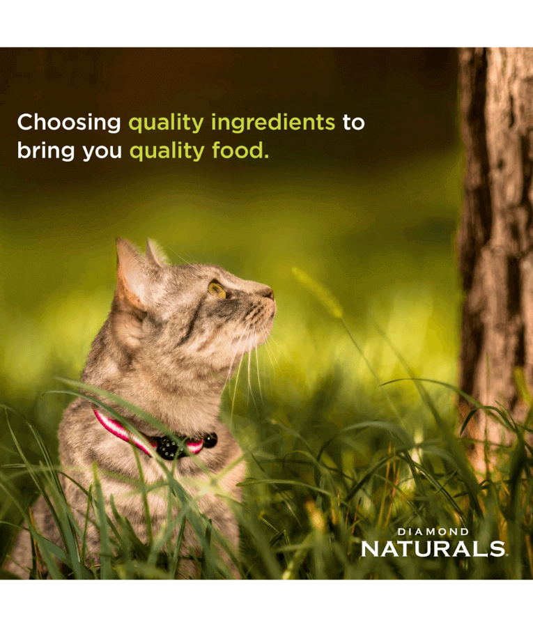 Diamond Naturals - Holistic Finicky Adult Cat With Chicken 3kg