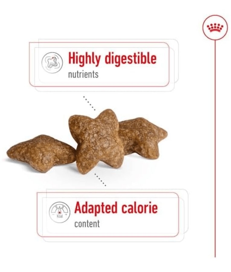 Royal Canin - Mini Adult 2kg-4kg-8kg