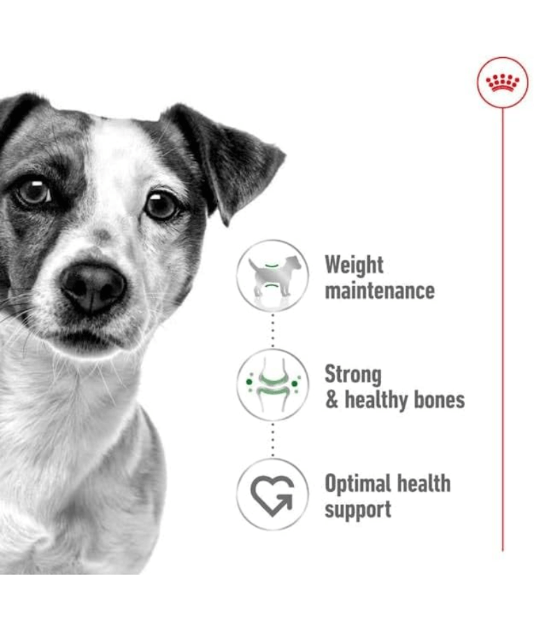 Royal Canin - Mini Adult 2kg-4kg-8kg