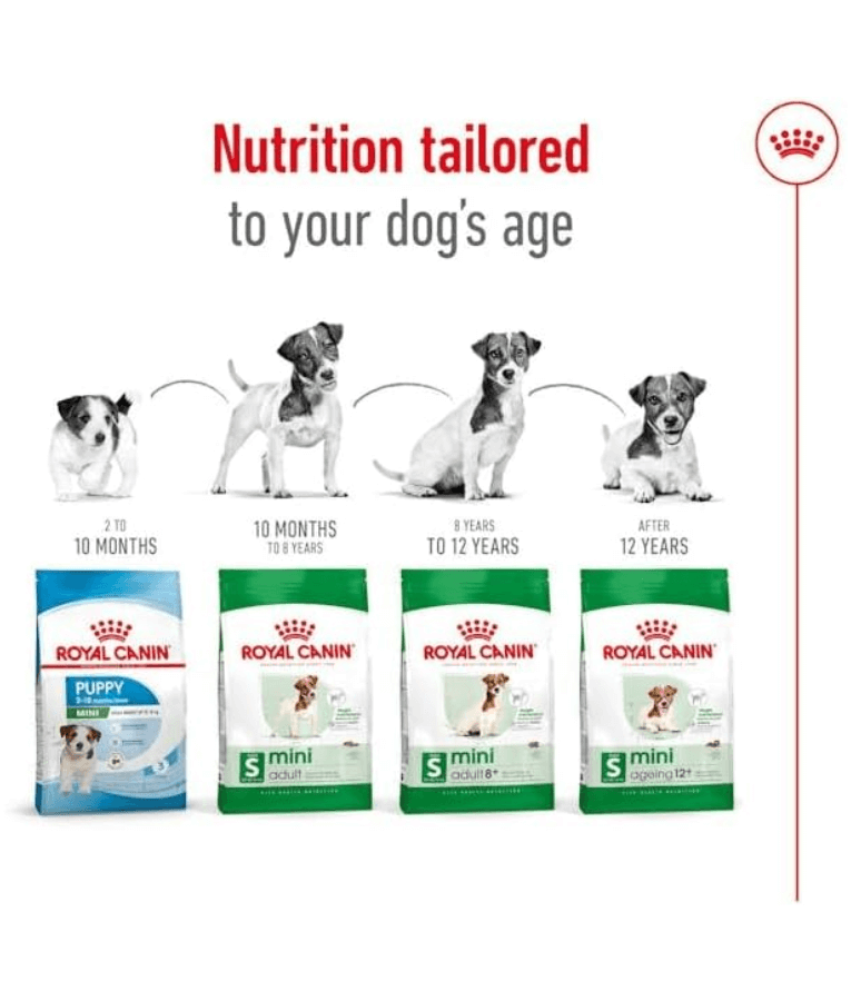 Royal Canin - Mini Adult 2kg-4kg-8kg