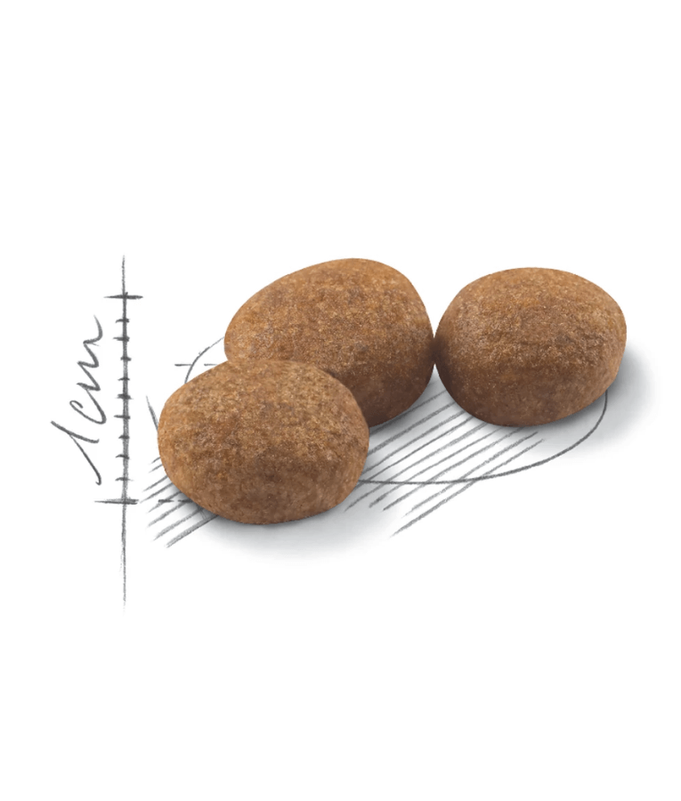 Royal Canin - Sterilized Cat -0.4kg-2kg-4kg-10kg