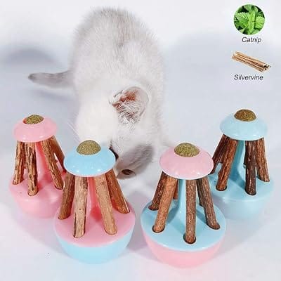 Silvervine & Catnip Mushroom Chew Toy Set