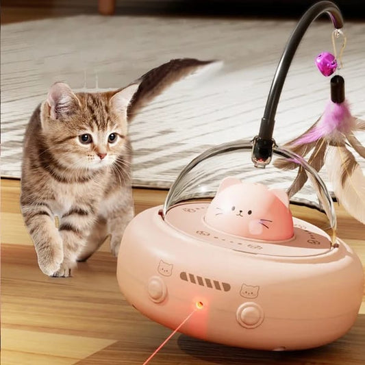 Laser & Feather Wand Cat Face Toy