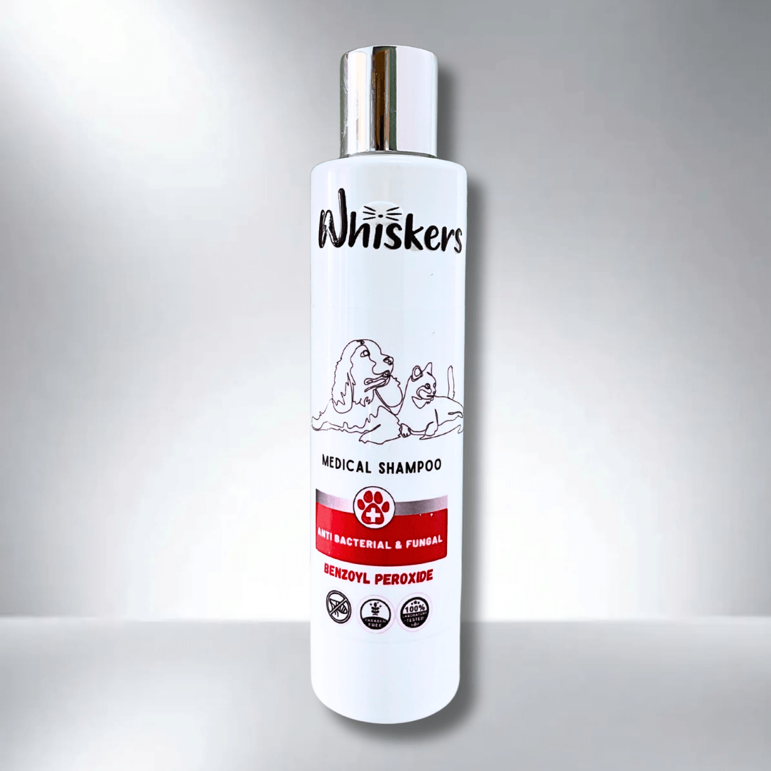 Whiskers Pet Shampoo – Fungal Care Formula for Dogs & Cats