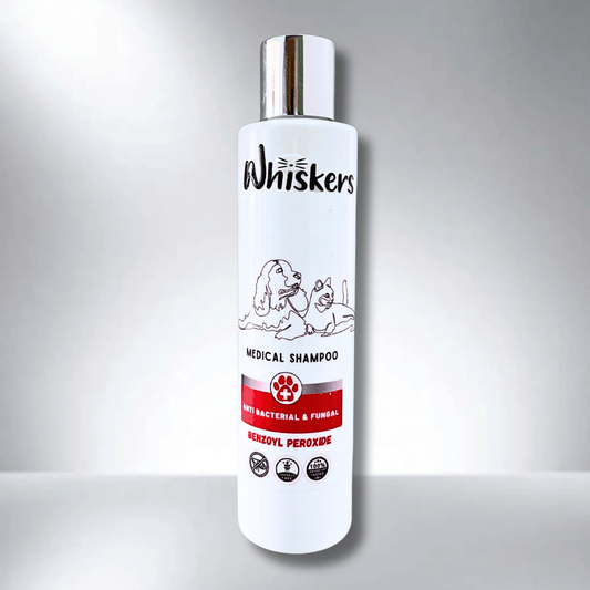Whiskers Pet Shampoo – Fungal Care Formula for Dogs & Cats