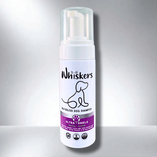 Whiskers Foam Shampoo – Honey & Orchid for Dogs & Cats