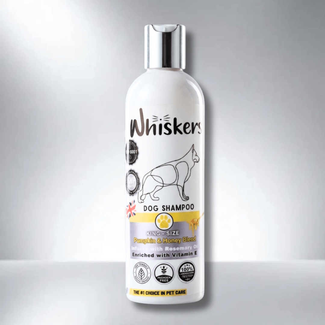 Whiskers King Size Pet Shampoo - Pumpkin & Honey Blend for Dogs & Cats