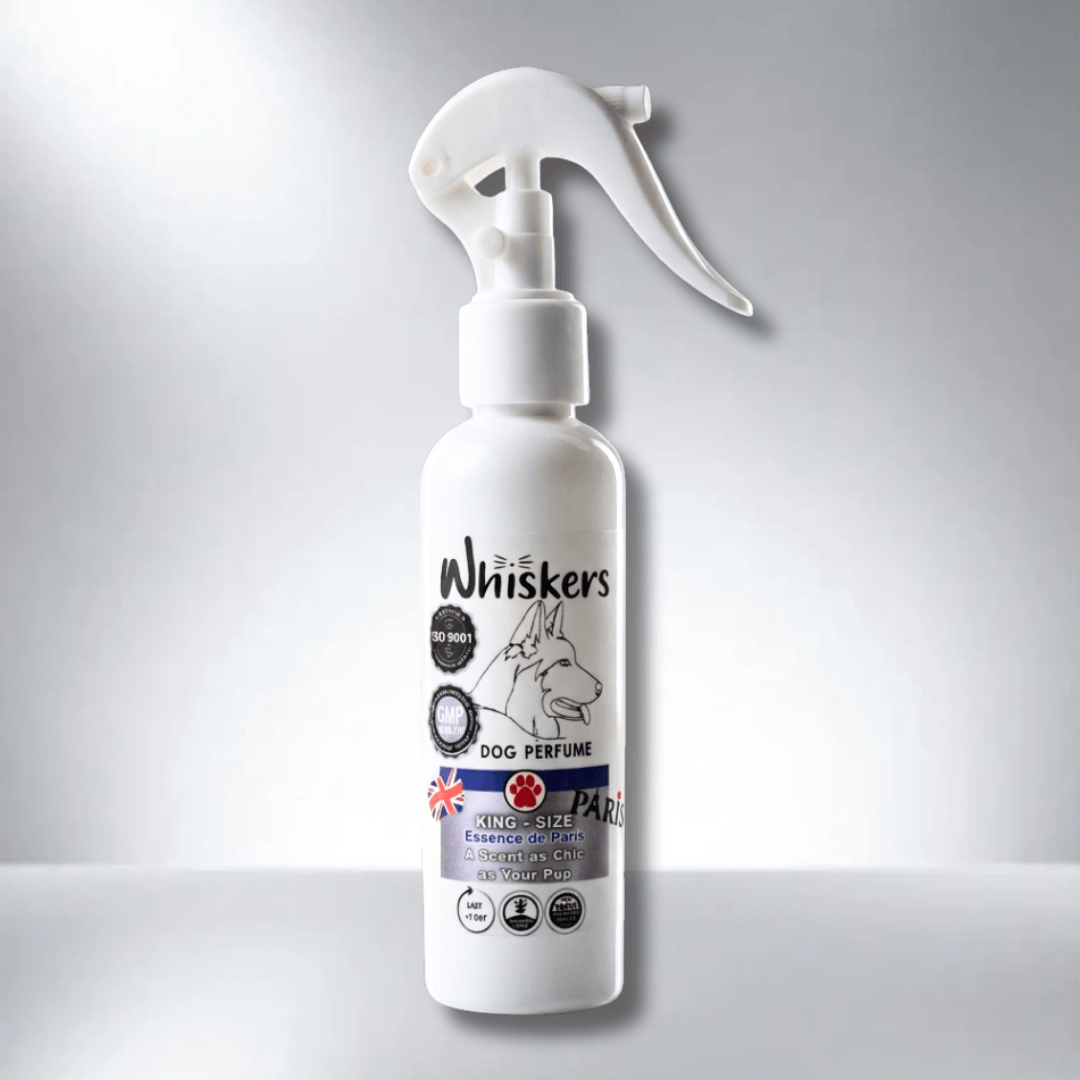 Whiskers King Size Perfume – Paris Scent for Dogs & Cats