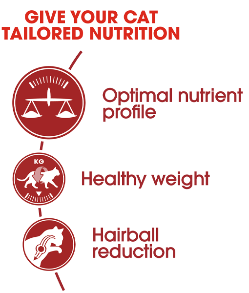 Royal Canin - Fit and active 10kg-15kg