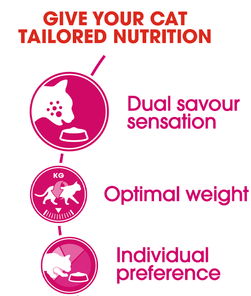 Royal Canin - Fussy Exigent Dry Cat Food- 0.4kg-2kg