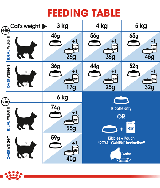 Royal Canin - Home Life Indoor Adult Cats - 0.4kg-2kg-4kg