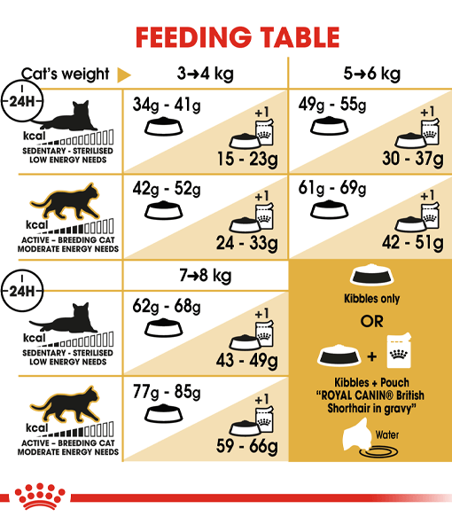 Royal Canin - British Shorthair Adult - 2kg
