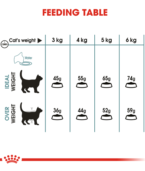 Royal Canin - Hairball Care - 0.4kg-2kg