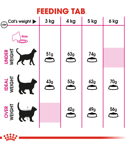 Royal Canin - Fussy Exigent Dry Cat Food- 0.4kg-2kg