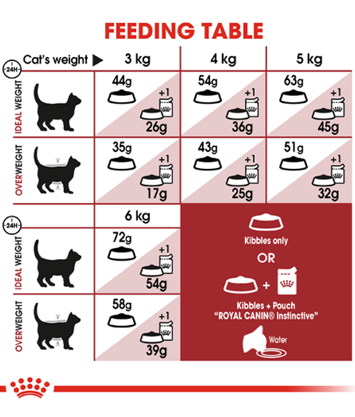 Royal Canin - Fit and active 10kg-15kg