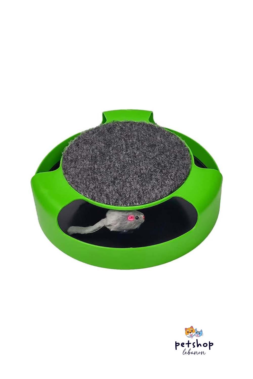Catch the Mouse Hideaway Toy