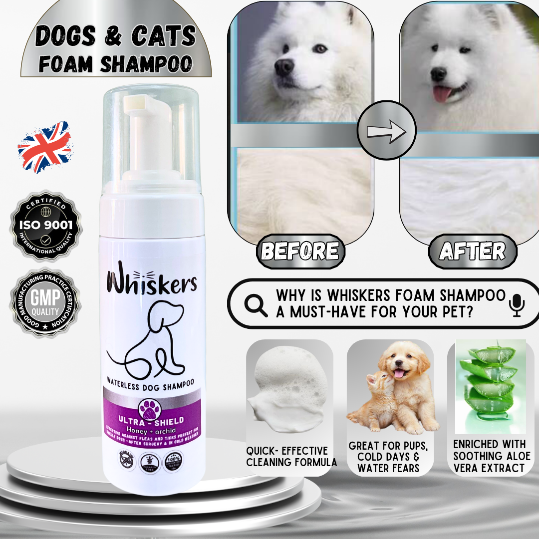 Whiskers Foam Shampoo – Honey & Orchid for Dogs & Cats