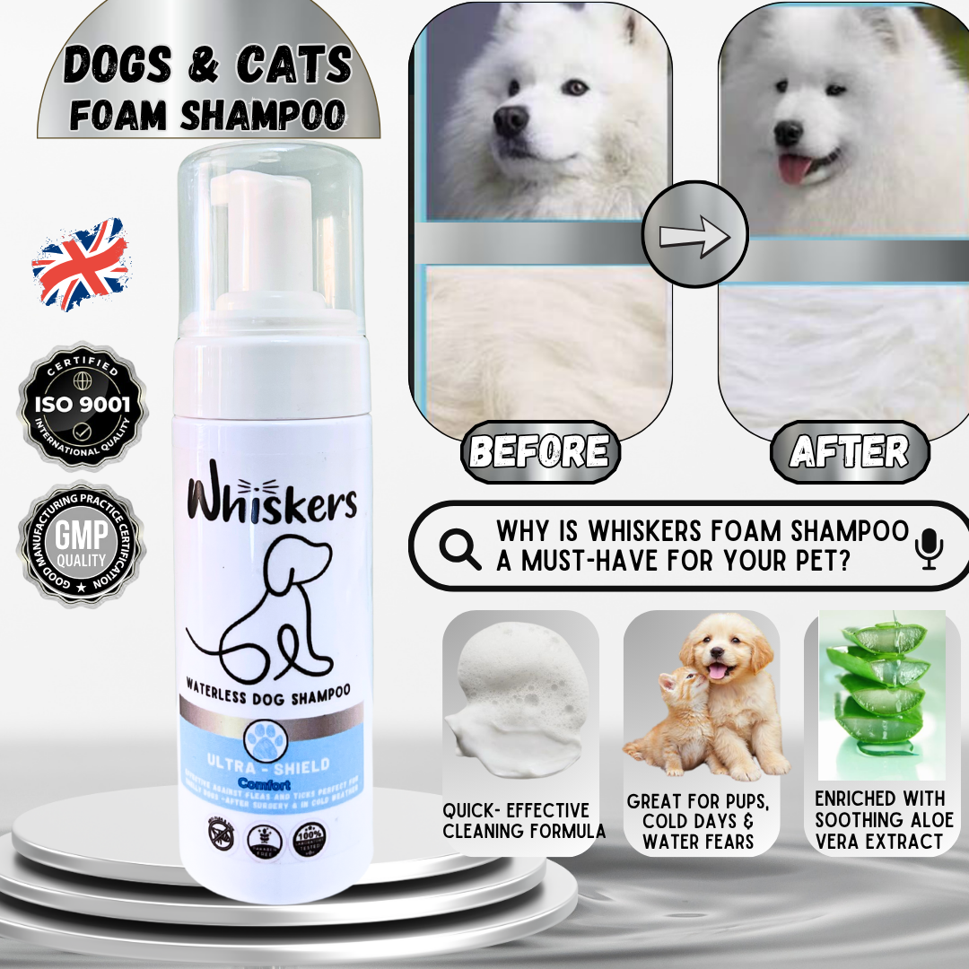 Whiskers Foam Shampoo – Comfort for Dogs & Cats