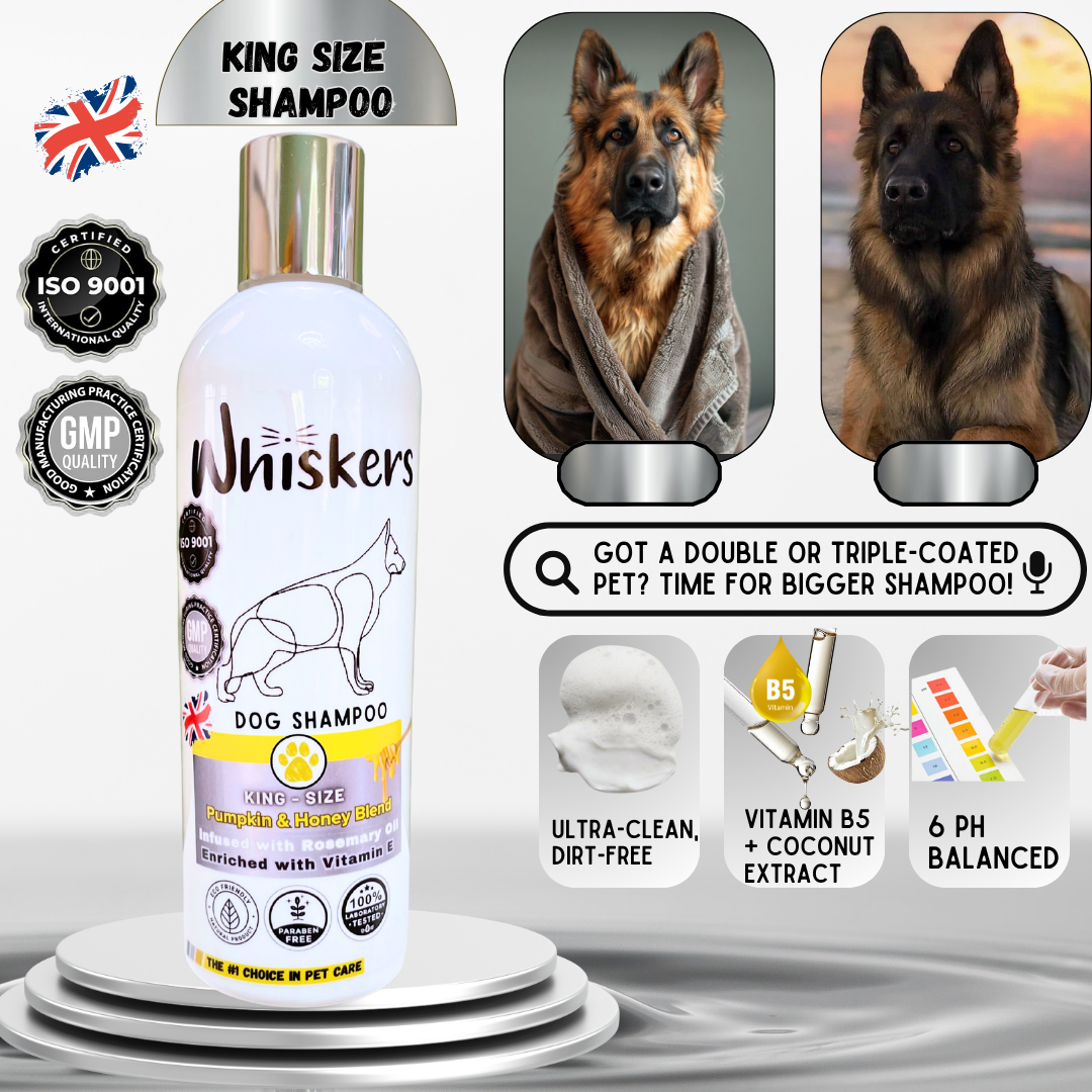 Whiskers King Size Pet Shampoo - Pumpkin & Honey Blend for Dogs & Cats