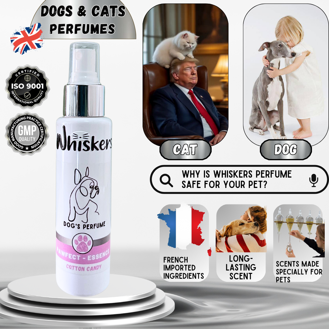 Whiskers Pet Perfume –Cotton Candy for Dogs & Cats