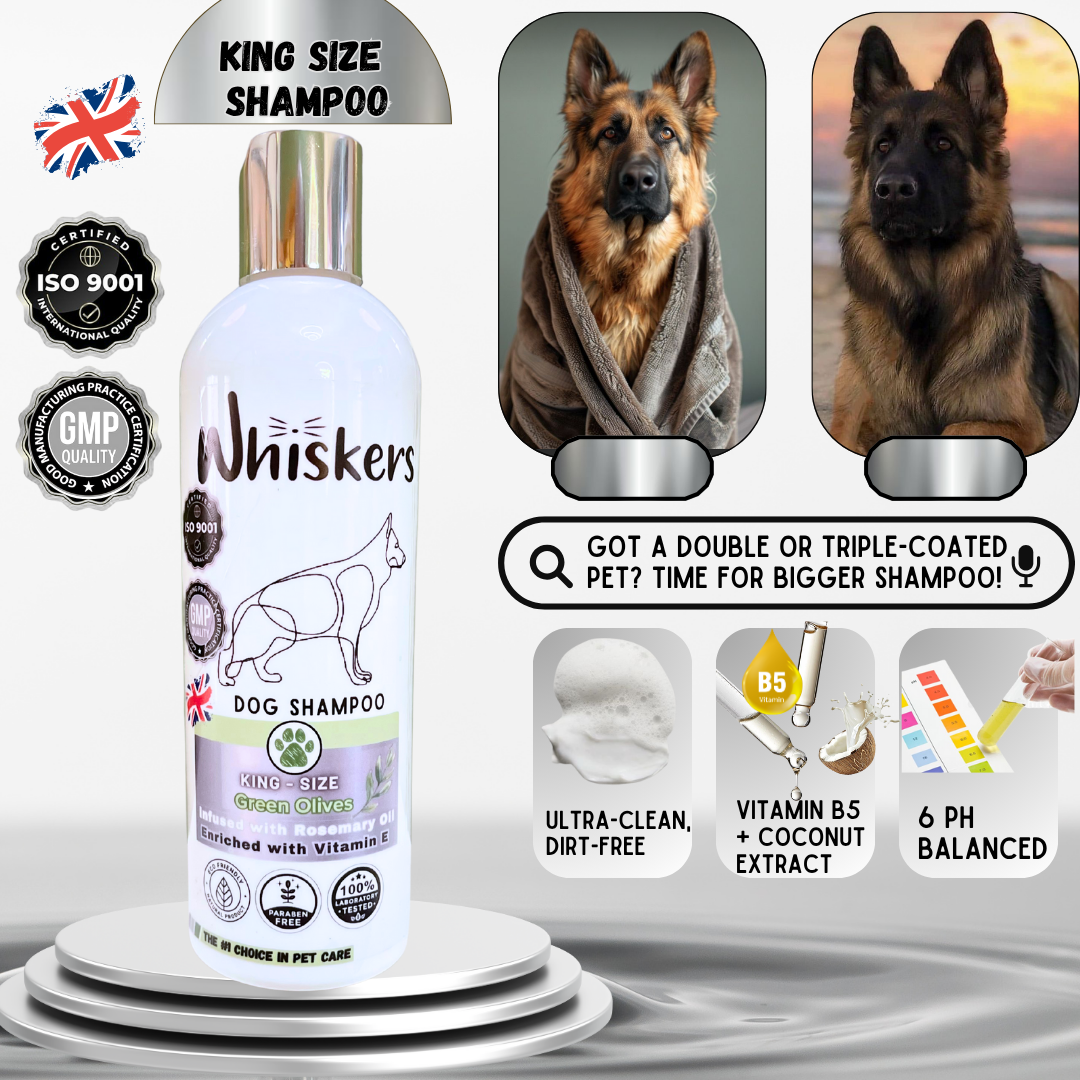 Whiskers King Size Pet Shampoo - Green Olives for Dogs & Cats