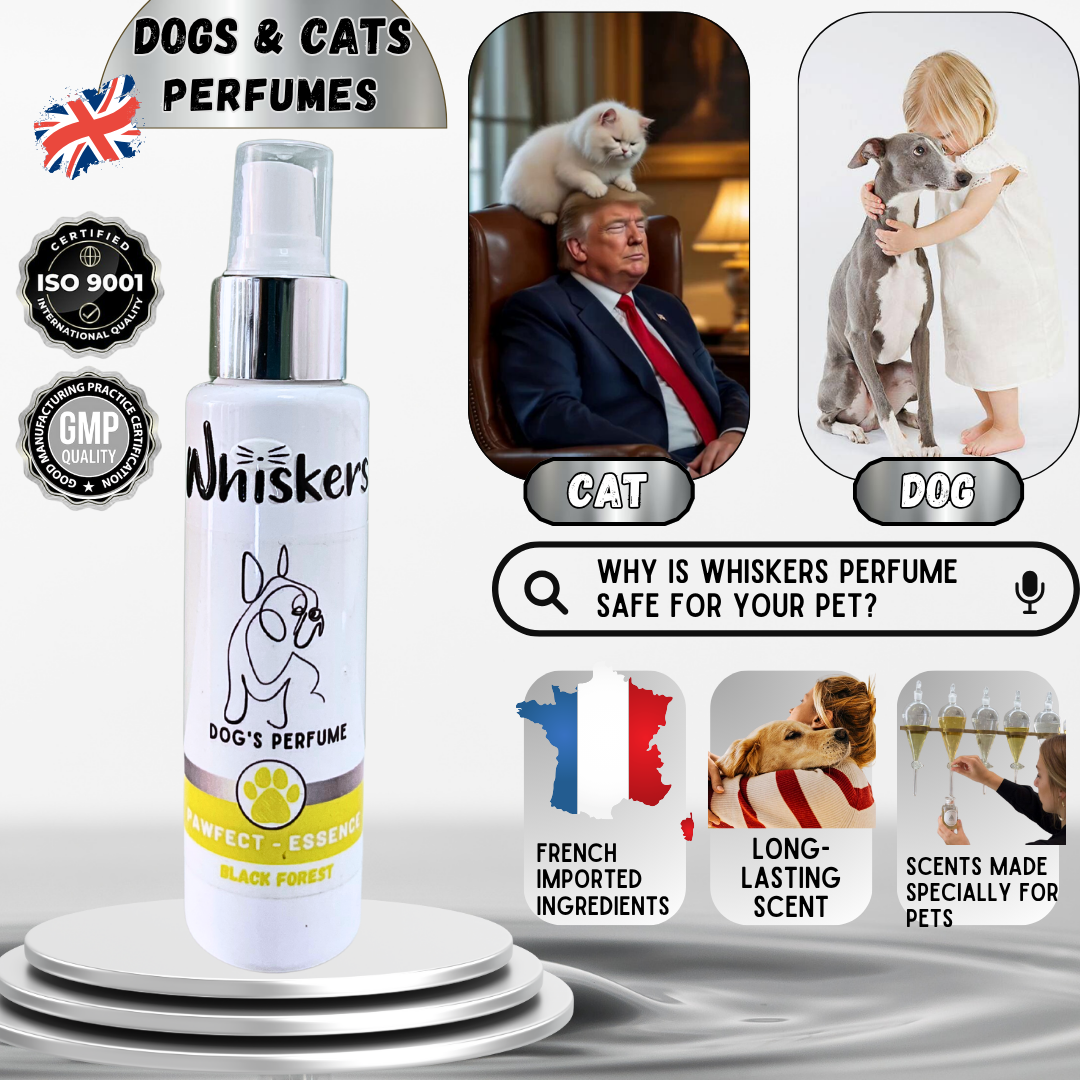 Whiskers Pet Perfume – Black Forest for Dogs & Cats