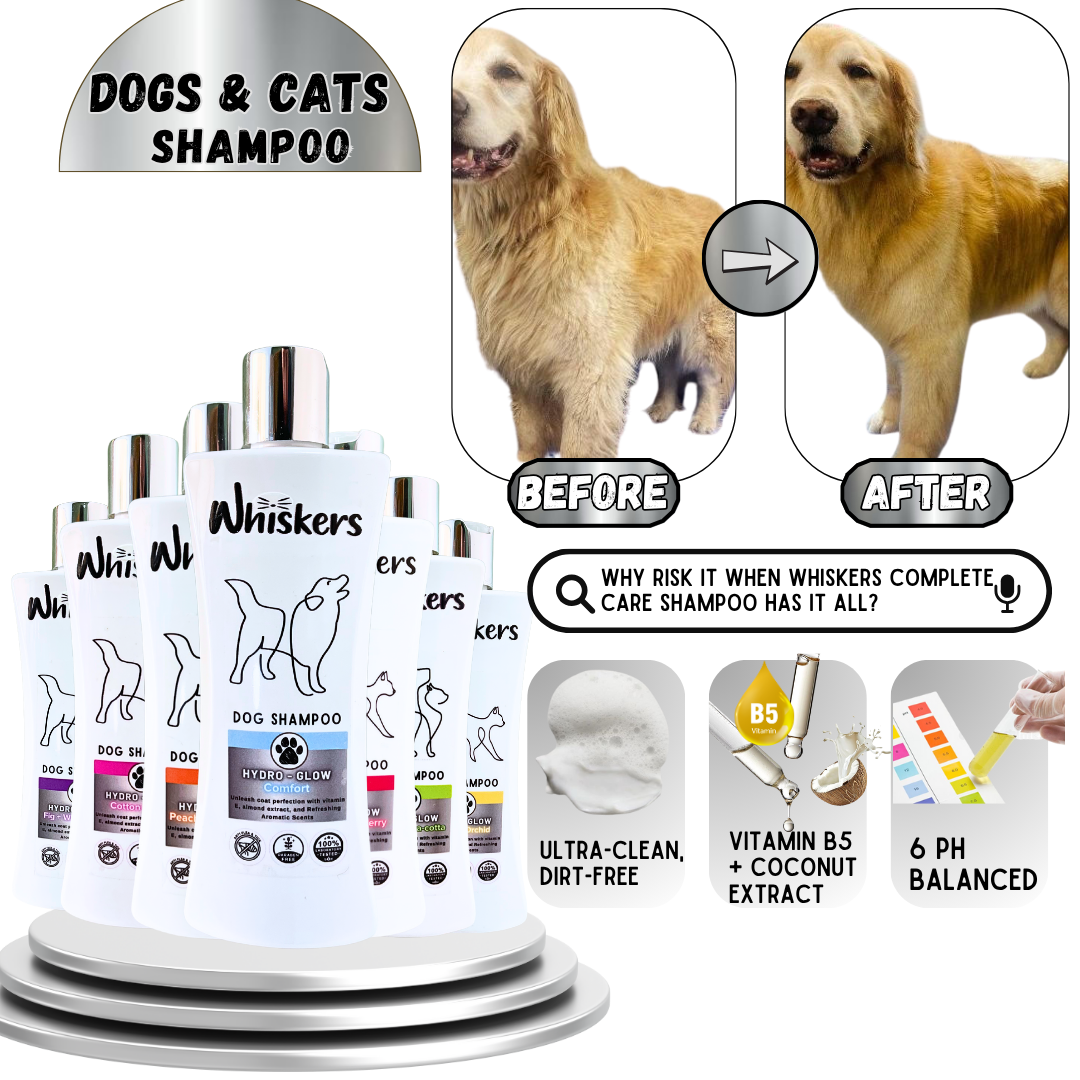 Whiskers Pet Shampoo – Comfort for Dogs & Cats