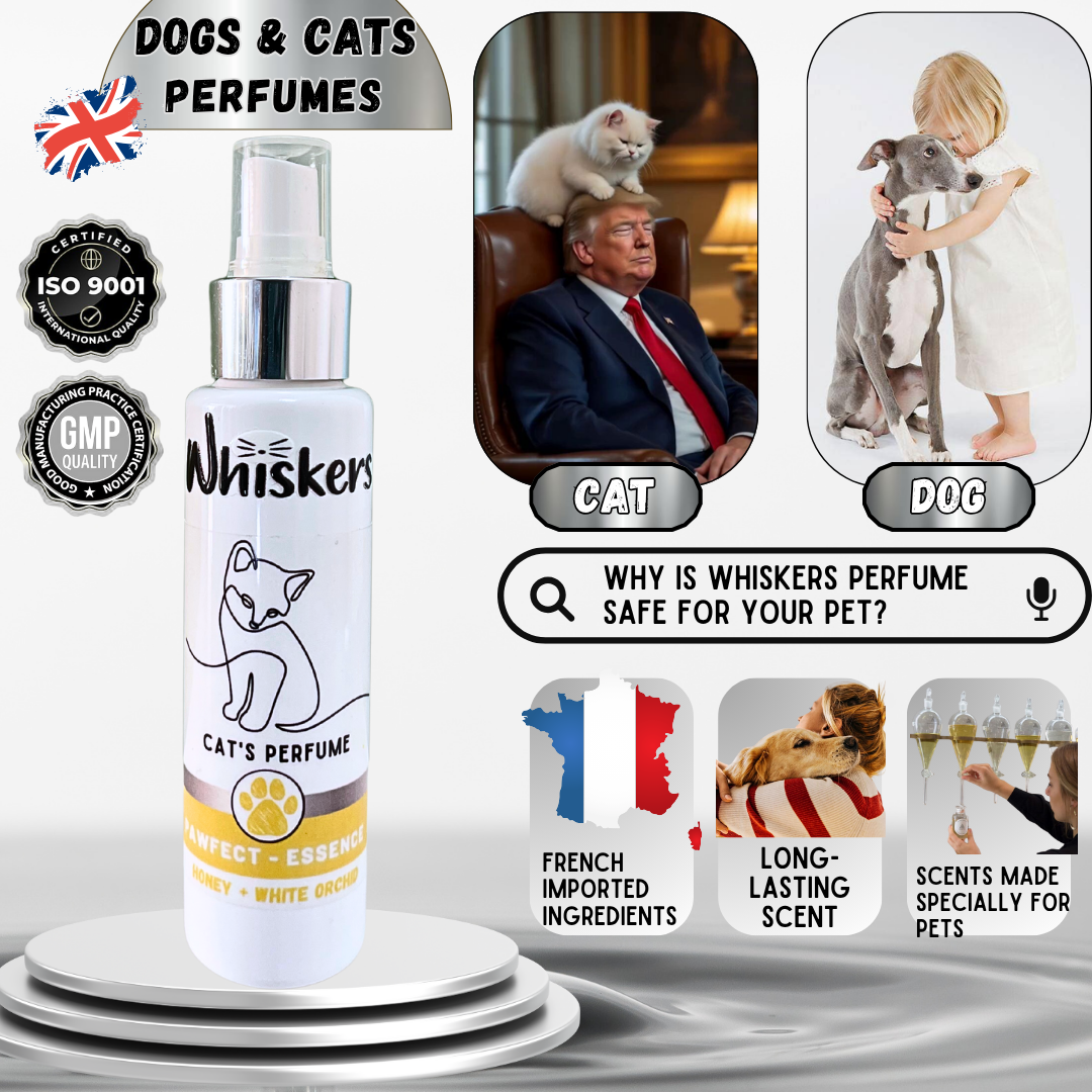 Whiskers Pet Perfume – Honey & White Orchid for Dogs & Cats