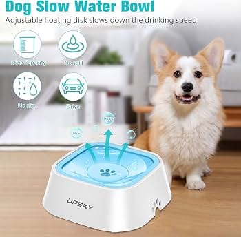 Anti-Splash Slow Water Bowl
