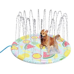 Outdoor Splash Pad Sprinkler