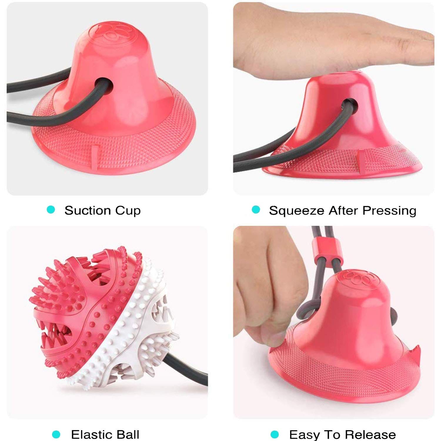 Suction Cup Dog Tug Toy