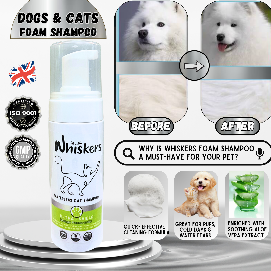Whiskers Foam Shampoo – Mango Panna Cota for Dogs & Cats