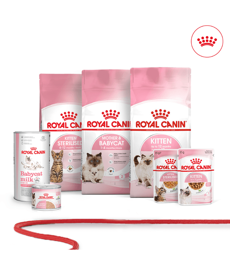 Royal Canin - Kitten 2kg-4kg-10kg
